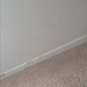 Meet your Posher, Nadeen